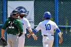 Baseball vs Babson NEWMAC Finals  Wheaton College vs Babson College play in the NEWMAC baseball championship finals. - (Photo by Keith Nordstrom) : Wheaton, baseball, NEWMAC, Babson